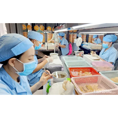 Đưa Yến Sào Kiên Giang chinh phục thị trường thế giới